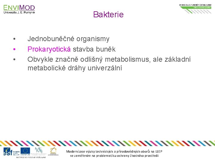 Bakterie • • • Jednobuněčné organismy Prokaryotická stavba buněk Obvykle značně odlišný metabolismus, ale