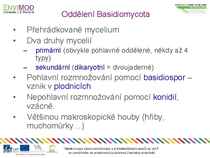 Oddělení Basidiomycota • • Přehrádkované mycelium Dva druhy mycelií – – • • •