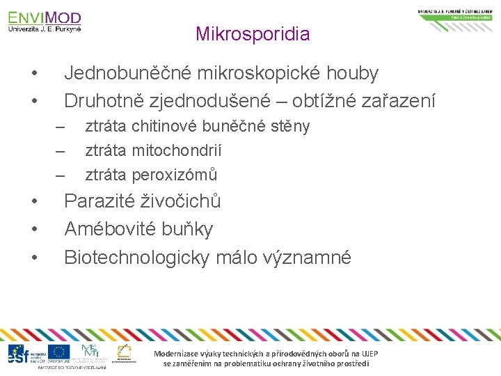 Mikrosporidia • • Jednobuněčné mikroskopické houby Druhotně zjednodušené – obtížné zařazení – – –