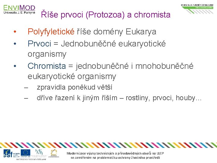 Říše prvoci (Protozoa) a chromista • • • Polyfyletické říše domény Eukarya Prvoci =