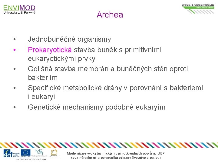 Archea • • • Jednobuněčné organismy Prokaryotická stavba buněk s primitivními eukaryotickými prvky Odlišná