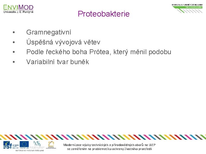 Proteobakterie • • Gramnegativní Úspěšná vývojová větev Podle řeckého boha Prótea, který měnil podobu