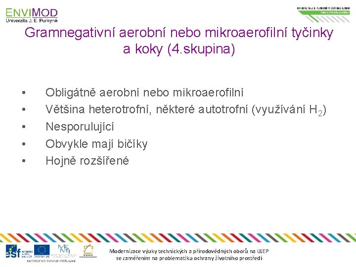 Gramnegativní aerobní nebo mikroaerofilní tyčinky a koky (4. skupina) • • • Obligátně aerobní