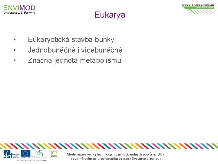 Eukarya • • • Eukaryotická stavba buňky Jednobuněčné i vícebuněčné Značná jednota metabolismu Modernizace