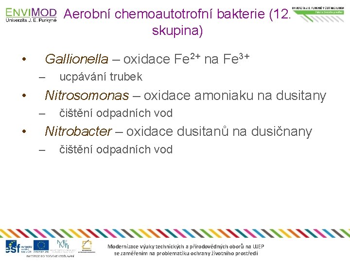Aerobní chemoautotrofní bakterie (12. skupina) • Gallionella – oxidace Fe 2+ na Fe 3+