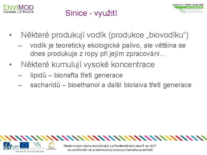 Sinice - využití • Některé produkují vodík (produkce „biovodíku“) – • vodík je teoreticky