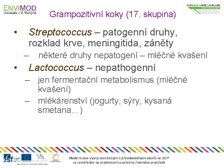 Grampozitivní koky (17. skupina) • Streptococcus – patogenní druhy, rozklad krve, meningitida, záněty –