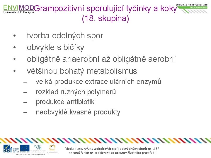 Grampozitivní sporulující tyčinky a koky (18. skupina) • • tvorba odolných spor obvykle s