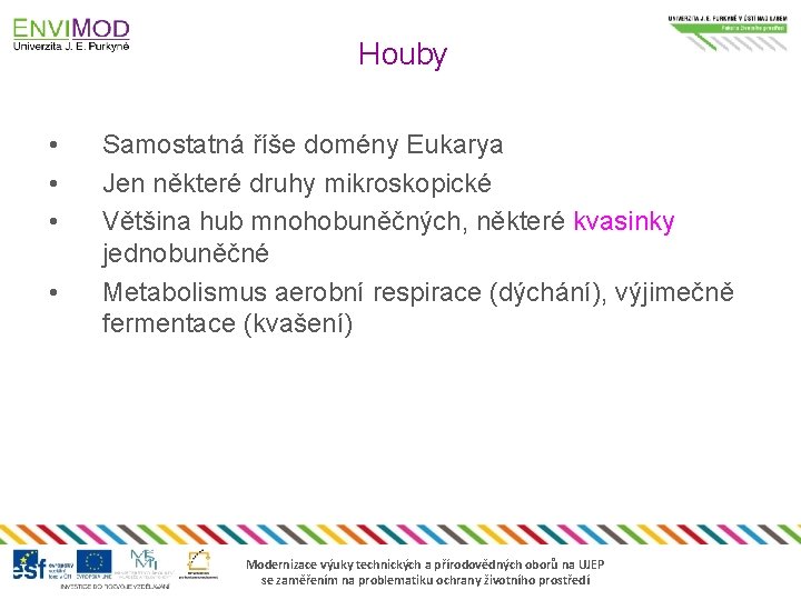 Houby • • Samostatná říše domény Eukarya Jen některé druhy mikroskopické Většina hub mnohobuněčných,