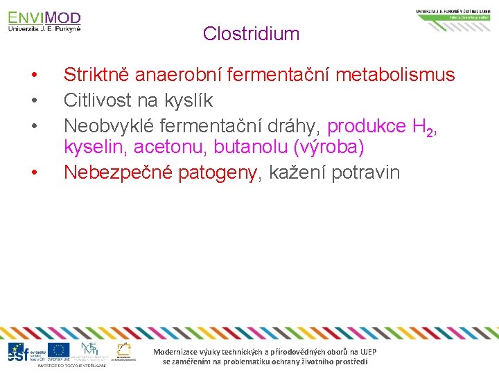 Clostridium • • Striktně anaerobní fermentační metabolismus Citlivost na kyslík Neobvyklé fermentační dráhy, produkce