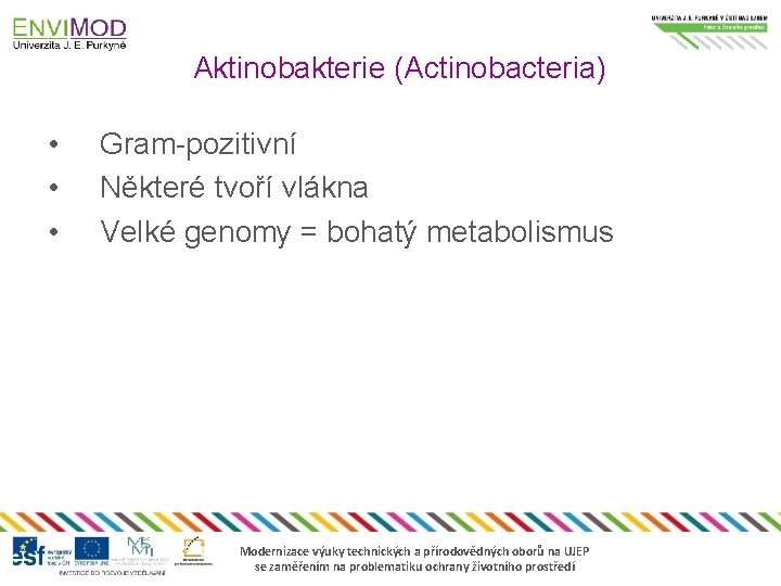 Aktinobakterie (Actinobacteria) • • • Gram-pozitivní Některé tvoří vlákna Velké genomy = bohatý metabolismus