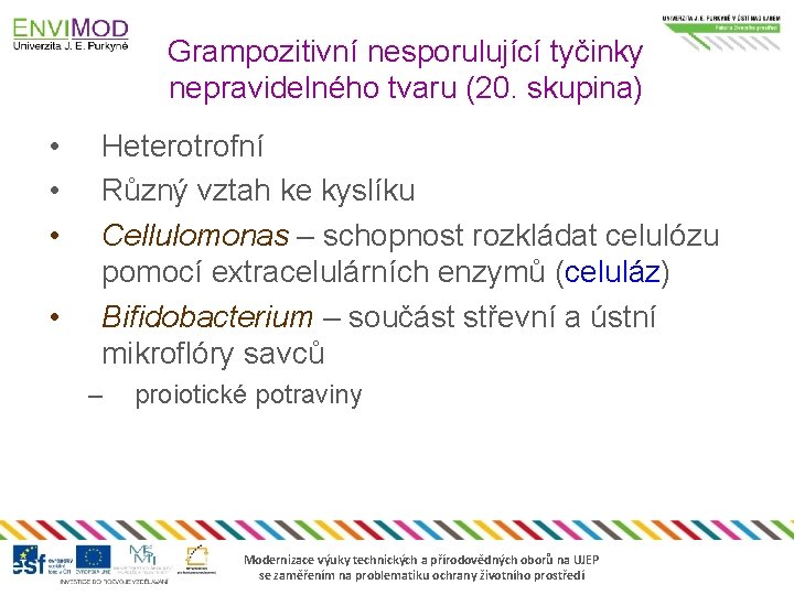 Grampozitivní nesporulující tyčinky nepravidelného tvaru (20. skupina) • • Heterotrofní Různý vztah ke kyslíku