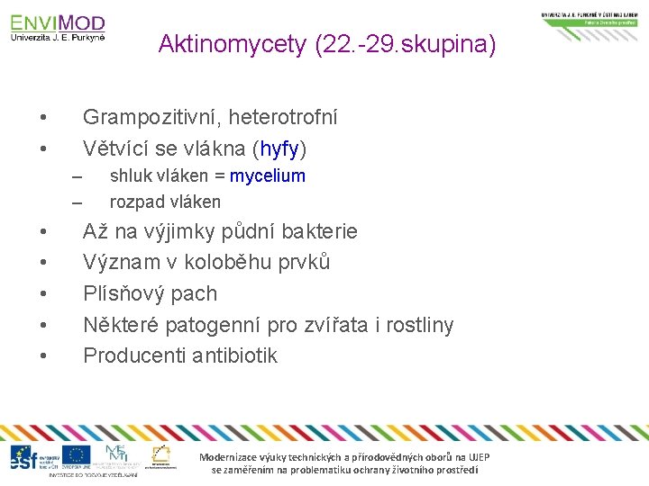 Aktinomycety (22. -29. skupina) • • Grampozitivní, heterotrofní Větvící se vlákna (hyfy) – –