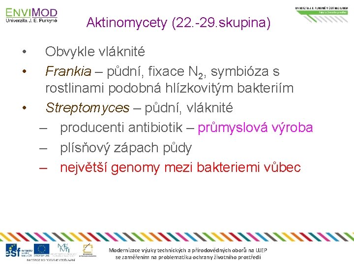 Aktinomycety (22. -29. skupina) • • Obvykle vláknité Frankia – půdní, fixace N 2,