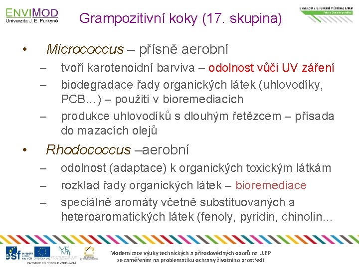 Grampozitivní koky (17. skupina) • Micrococcus – přísně aerobní – – – • tvoří