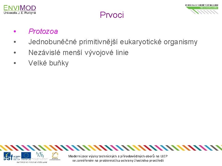 Prvoci • • Protozoa Jednobuněčné primitivnější eukaryotické organismy Nezávislé menší vývojové linie Velké buňky