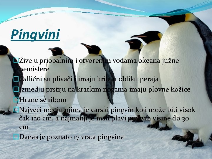 Pingvini �Žive u priobalnim i otvorenim vodama okeana južne hemisfere. �Odlični su plivači i