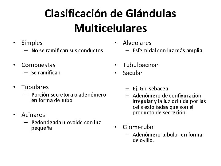 Clasificación de Glándulas Multicelulares • Simples • Alveolares • Compuestas • Tubuloacinar • Sacular
