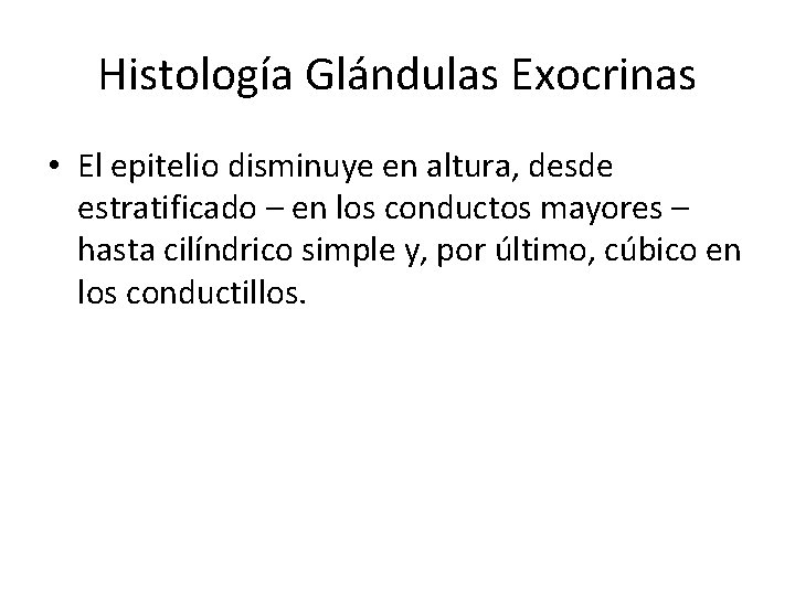 Histología Glándulas Exocrinas • El epitelio disminuye en altura, desde estratificado – en los