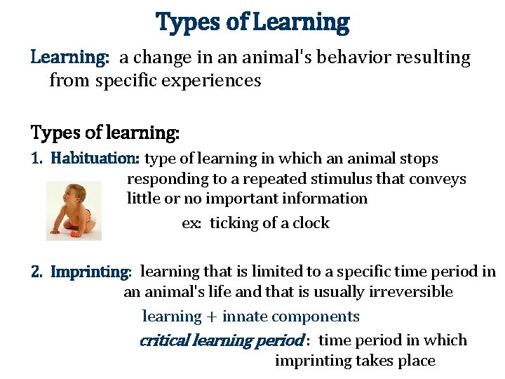 Types of Learning: a change in an animal's behavior resulting from specific experiences Types