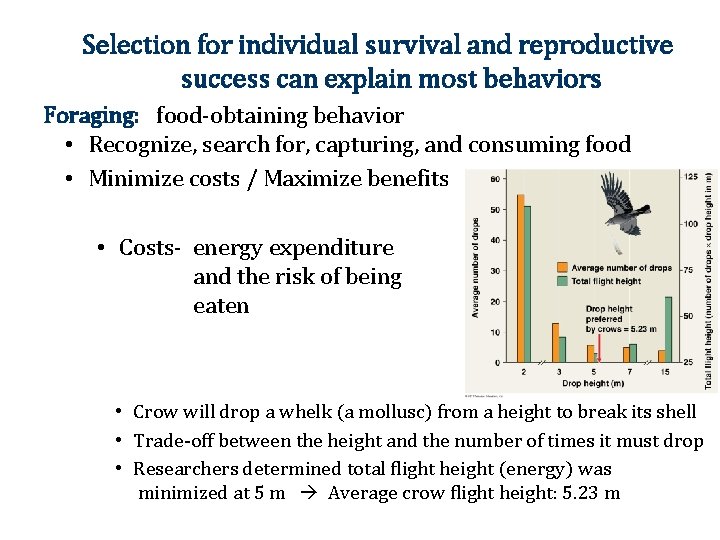 Selection for individual survival and reproductive success can explain most behaviors Foraging: food-obtaining behavior