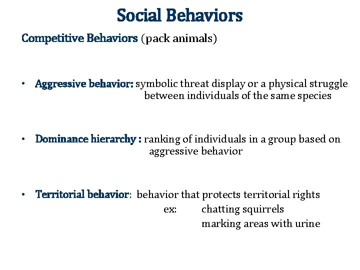 Social Behaviors Competitive Behaviors (pack animals) • Aggressive behavior: symbolic threat display or a