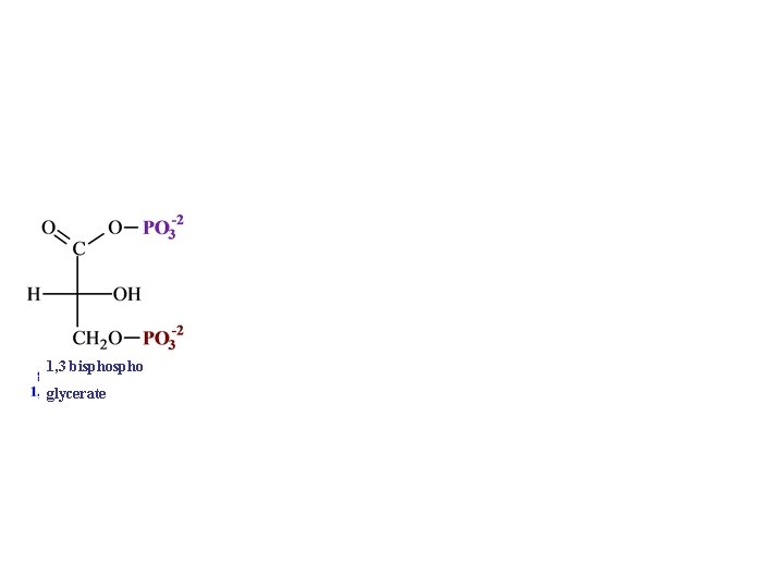 1, 3 bispho glycerate 