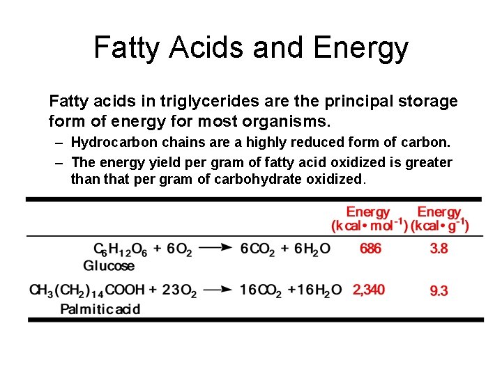 Fatty Acids and Energy Fatty acids in triglycerides are the principal storage form of