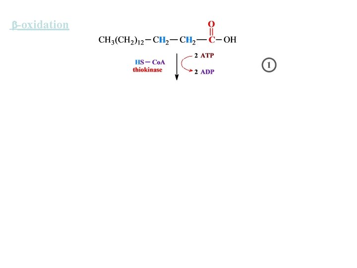  -oxidation 