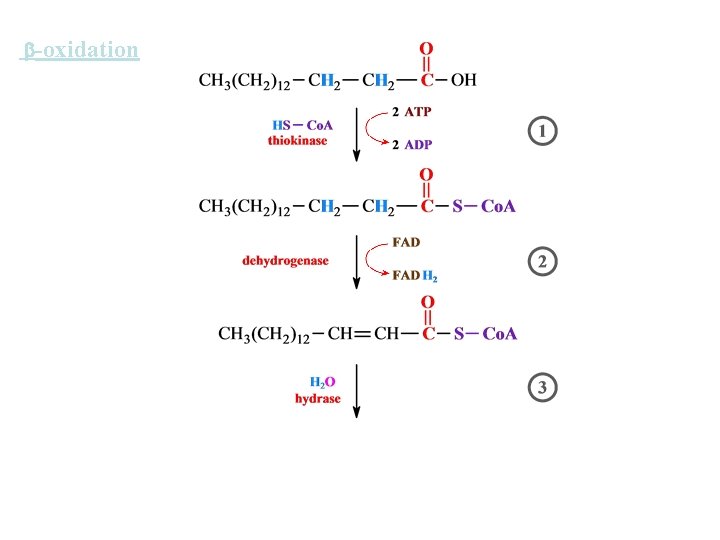  -oxidation 