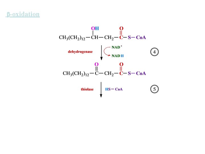  -oxidation 