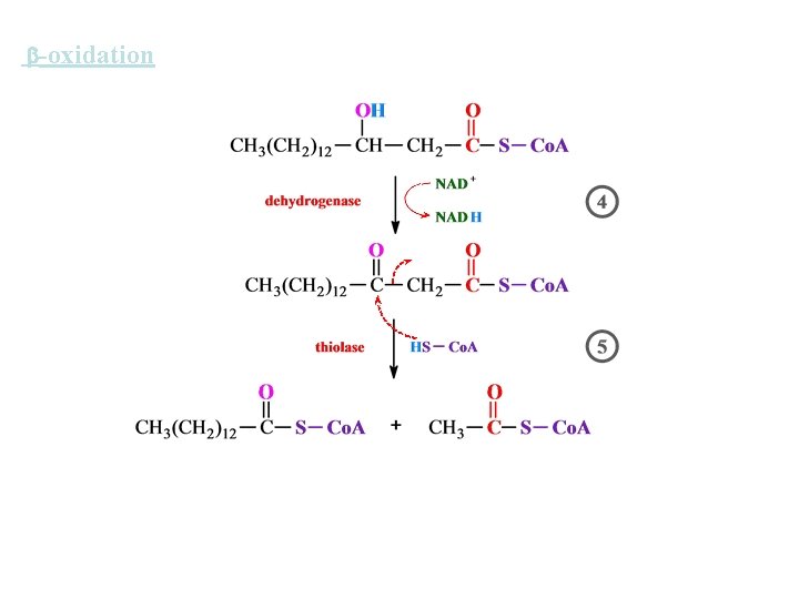  -oxidation 