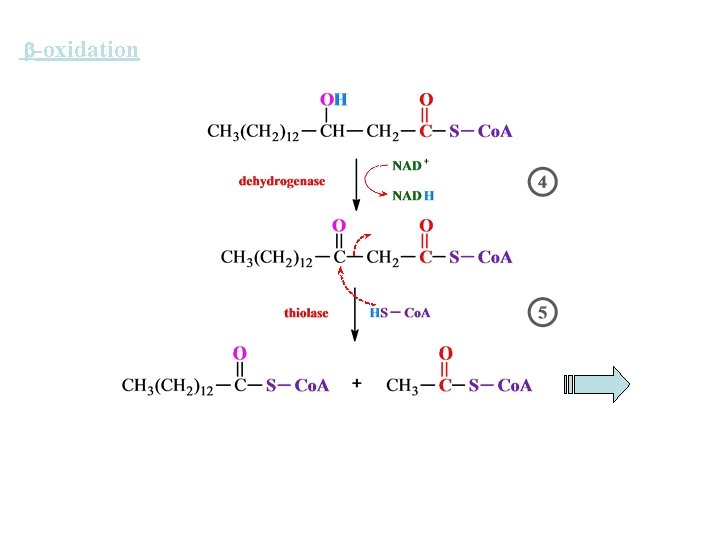  -oxidation 