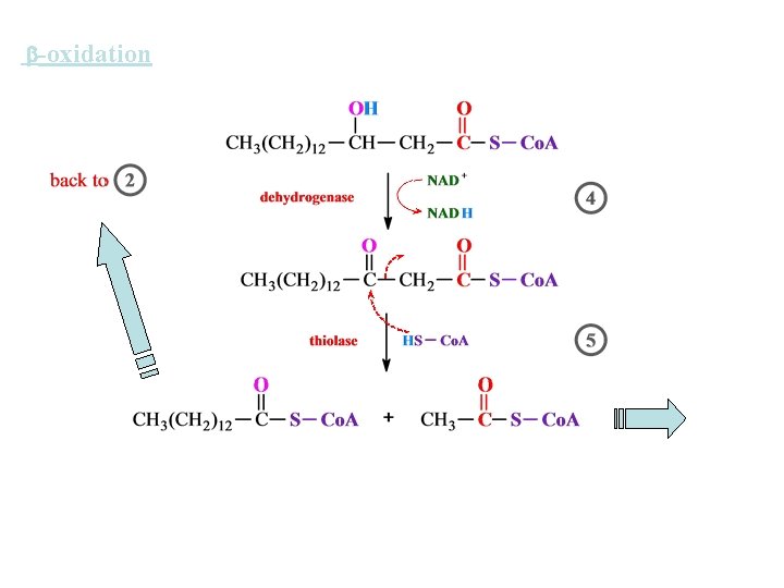  -oxidation 