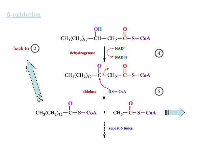  -oxidation 
