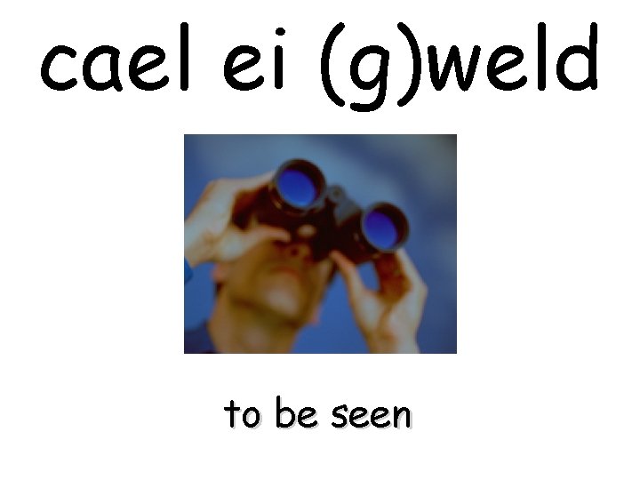 cael ei (g)weld to be seen 