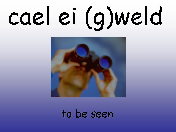 cael ei (g)weld to be seen 