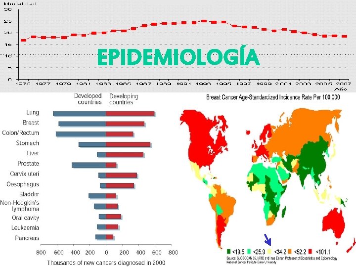 EPIDEMIOLOGÍA 