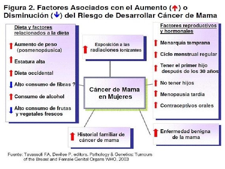 FACTORES DE RIESGO EN CANCER DE SENO 