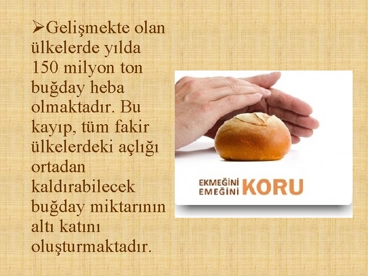 ØGelişmekte olan ülkelerde yılda 150 milyon ton buğday heba olmaktadır. Bu kayıp, tüm fakir