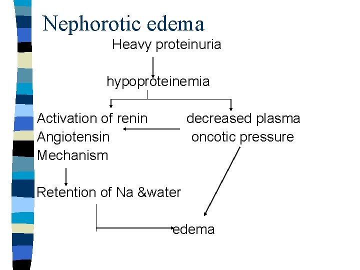 Nephorotic edema Heavy proteinuria hypoproteinemia Activation of renin Angiotensin Mechanism decreased plasma oncotic pressure