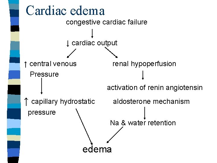 Cardiac edema congestive cardiac failure ↓ cardiac output ↑ central venous Pressure renal hypoperfusion