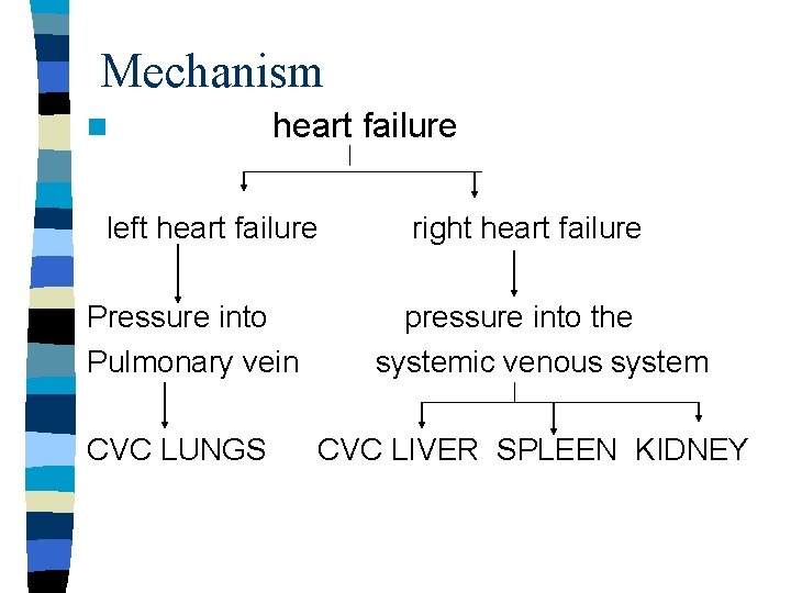 Mechanism n heart failure left heart failure Pressure into Pulmonary vein CVC LUNGS right