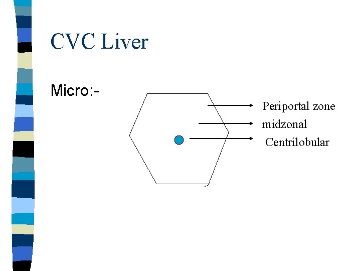 CVC Liver Micro: - Periportal zone midzonal Centrilobular 