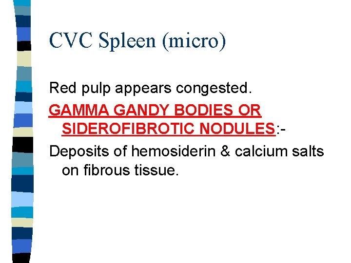 CVC Spleen (micro) Red pulp appears congested. GAMMA GANDY BODIES OR SIDEROFIBROTIC NODULES: Deposits