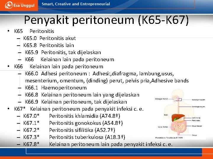 Penyakit peritoneum (K 65 -K 67) • K 65 Peritonitis – K 65. 0