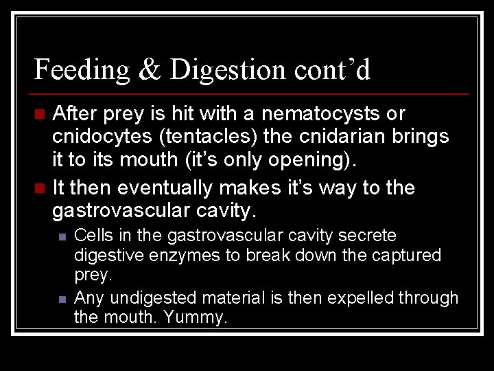 Feeding & Digestion cont’d After prey is hit with a nematocysts or cnidocytes (tentacles)