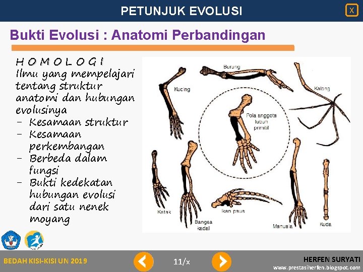 PETUNJUK EVOLUSI X Bukti Evolusi : Anatomi Perbandingan HOMOLOGI Ilmu yang mempelajari tentang struktur