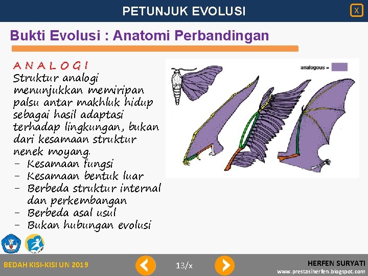 PETUNJUK EVOLUSI X Bukti Evolusi : Anatomi Perbandingan ANALOGI Struktur analogi menunjukkan memiripan palsu