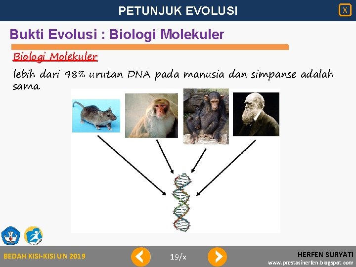 PETUNJUK EVOLUSI X Bukti Evolusi : Biologi Molekuler lebih dari 98% urutan DNA pada